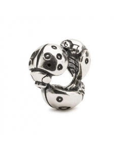 Coccinelle