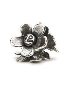 Fiori Sorridenti