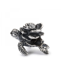 Turtle Flower