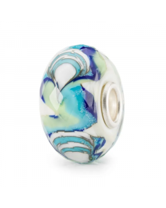 Ostriche dell'Oceano