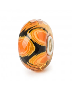 Buon Compleanno 2024